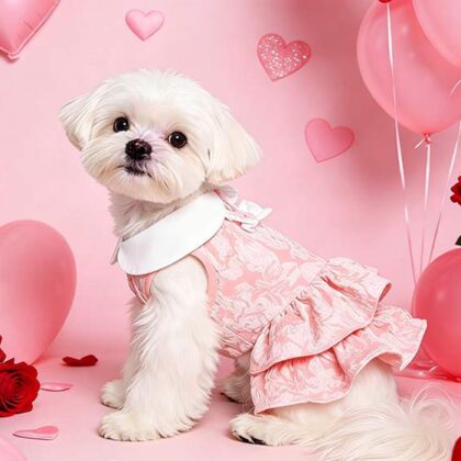 custom girl dog clothes