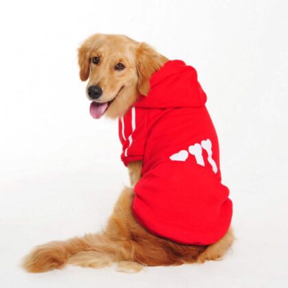 Dog Hoodies