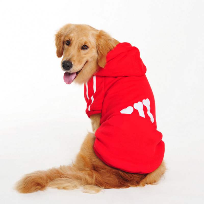Dog Hoodies